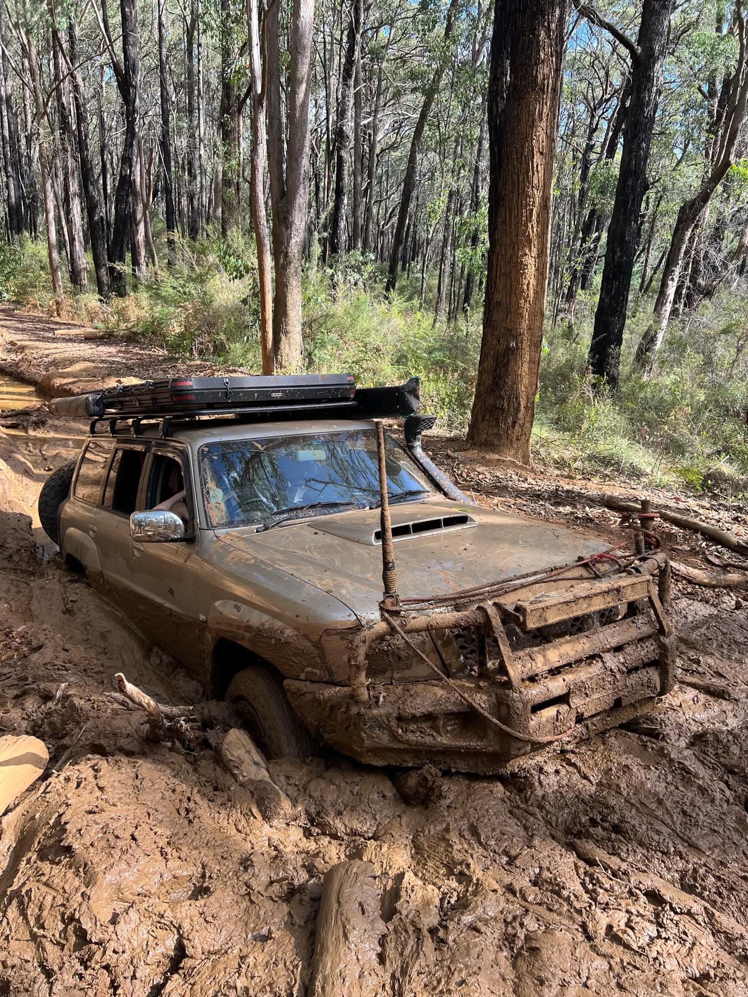 Damage Repair Evaluation